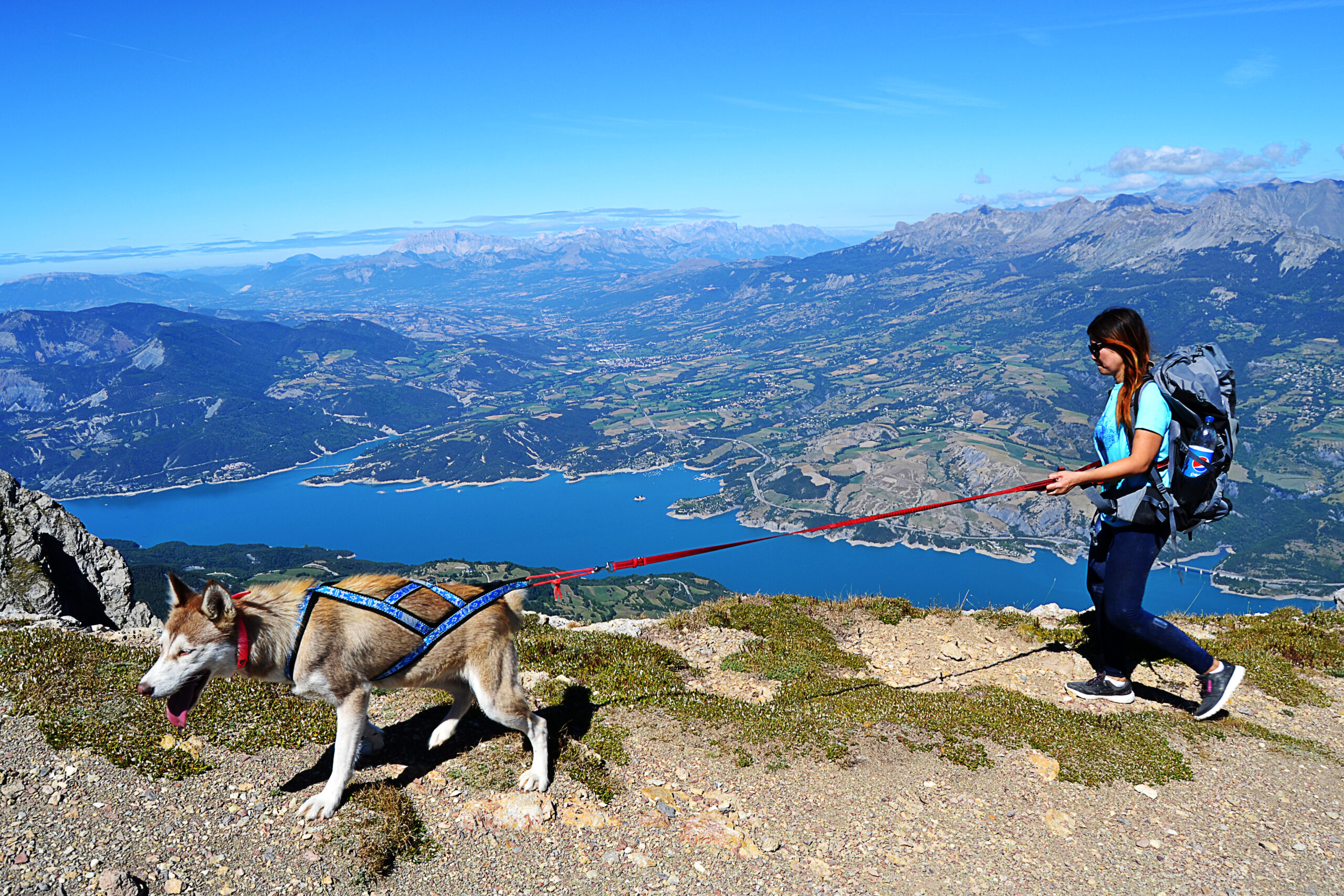 Voyage avec son chien